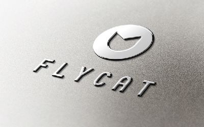 Fabula Branding        FLYCAT