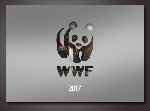   anno domini     WWF